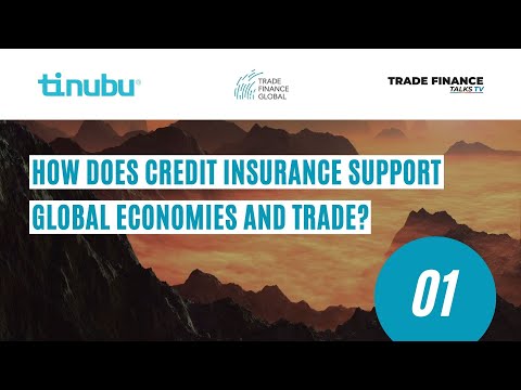 1 - How does trade credit insurance support global economies?