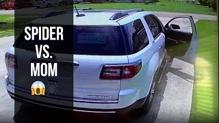 Super Mom Saves Toddler from Spider Panic in Car || WooGlobe
