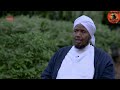 Sh Abdirashid Ali Sufi HD SURATUL KAHFI