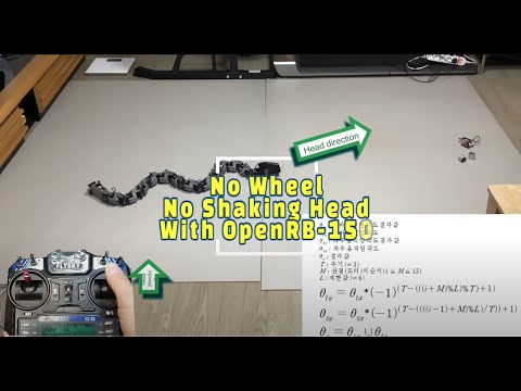 Video 1