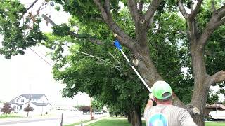 Kobalt 24volt brushless pole saw review