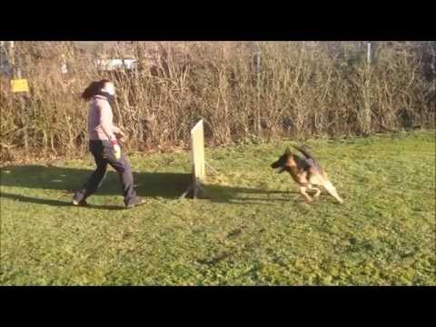 Ole von Arlett - Unterordnung