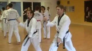 preview picture of video 'Taekwondo Synchroon'