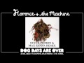 Florence and the Machine - Dog Days Are Over ...