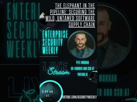 The Elephant in the Pipeline: Securing the Wild, Untamed Software Supply Chain – Pete Morgan