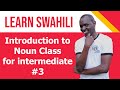 SWAHILI CLASS, INTRODUCTION TO NOUN CLASS FOR INTERMEDIATE #3