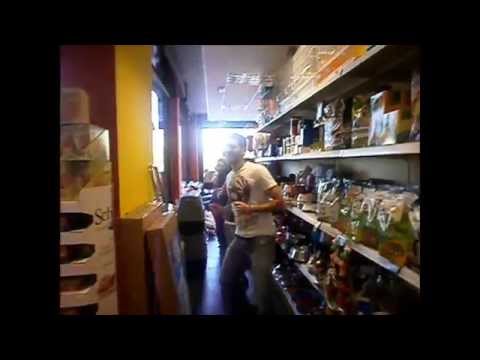 HAPPY FROM MISTER DOG BARI