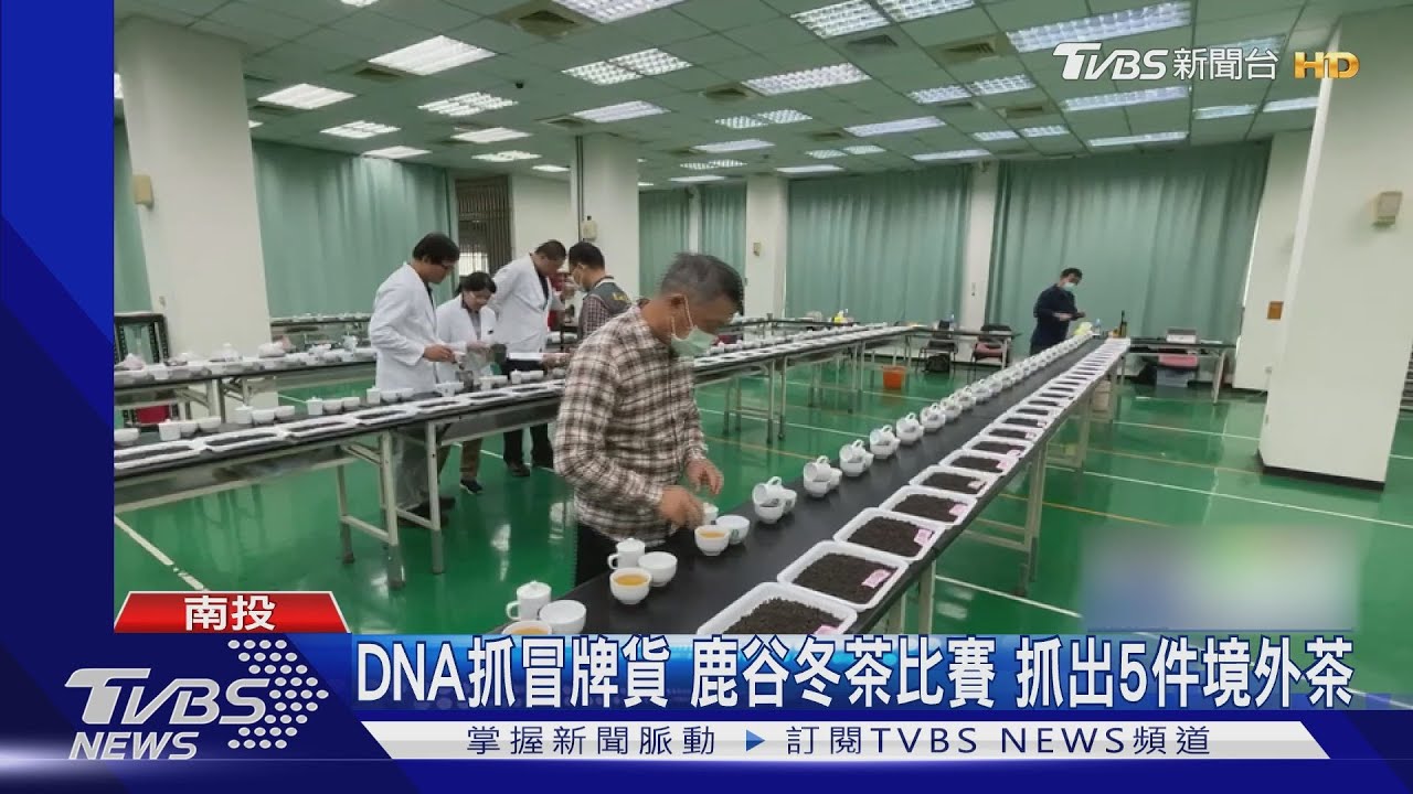 DNA抓冒牌貨 鹿谷冬茶比賽抓出5件境外茶
