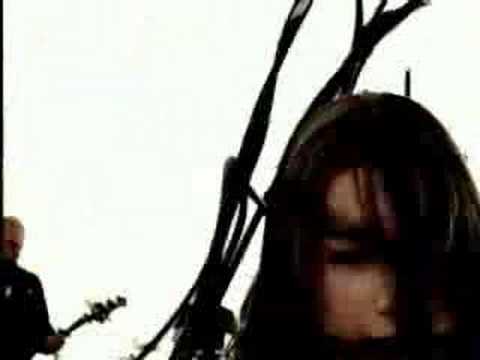 Video thumbnail for Tangled Up in Me