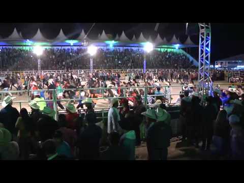 OURO FINO BOLETIM DA SEMANA 276 - 21 DE AGOSTO DE 2015