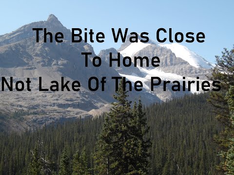 The Bite Was Close To Home Not Lake Of The Prairies