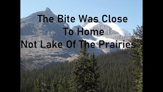 The Bite Was Close To Home Not Lake Of The Prairies