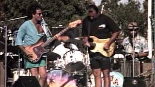 Dick Dale - Let's Go Trippin'