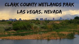 CLARK COUNTY WETLAND PARK LAS VEGAS, NEVADA