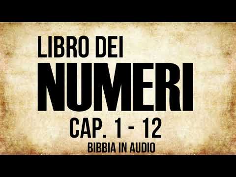 04 - Libro dei Numeri - PARTE 1 (BIBBIA ITALIANA IN AUDIO)