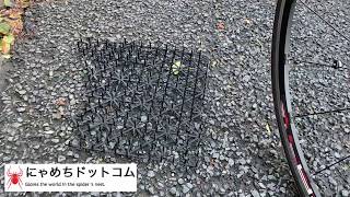 猫よけ パンク ロードバイク