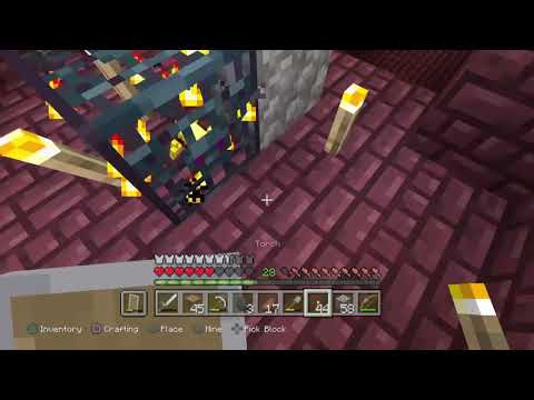 Vither Realms # 4 (Into The Nether)