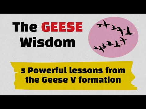 The Geese Wisdom: 5 Powerful lessons from the Geese V formation