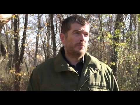 Ratni veterani govore - Nenad Stanić