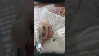 YELLOW ROSES XL- available everywhere that hearts can break. 💔💐