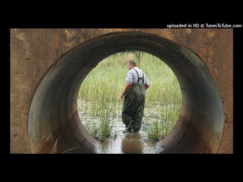 Aquaristik Real Talk Episode 20 Afrikafolge