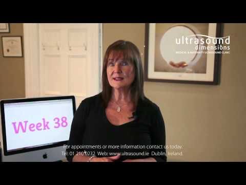 38 Weeks Pregnant - Your 38th Week Of Pregnancy