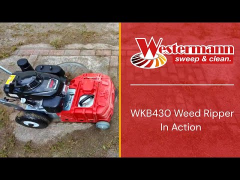 Westermann Honda Weed Ripper WKB430 - Image 2