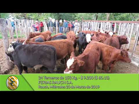 20-03-19 - Venta de Machos - Ferias Rauch S.A. - Rauch