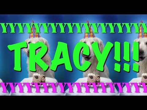download lagu mp3 mp4 Happy Birthday Tracy, download lagu Happy Birthday Tracy gratis, unduh video klip Happy Birthday Tracy