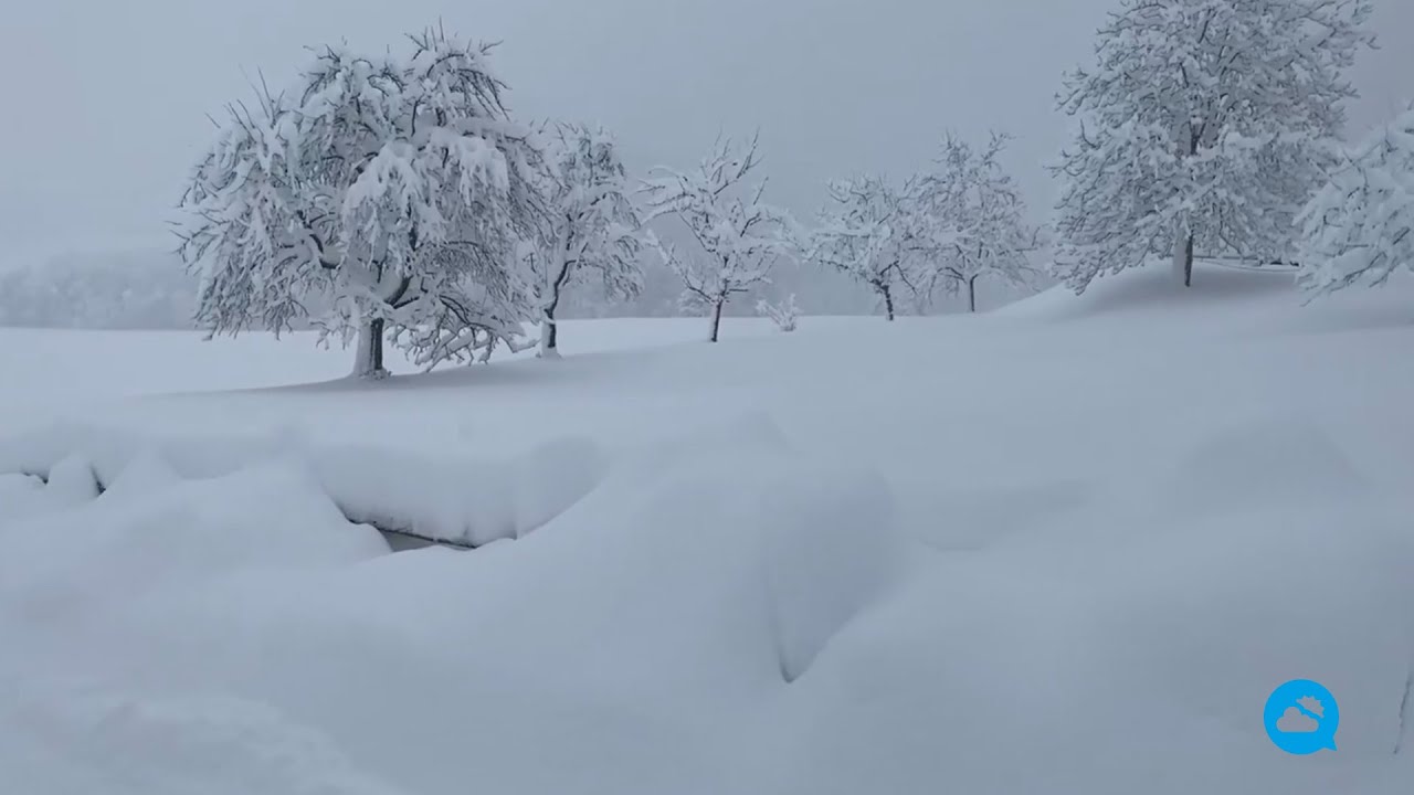 youtube video id=h0h4tKZ3-J8