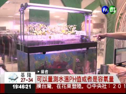 智慧科技用途多! 遠端遙控可餵魚