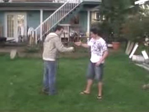 L'influence Politique de L'art au 17ème siècle