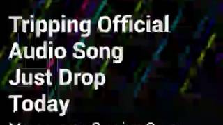 Trippin New Audio Song