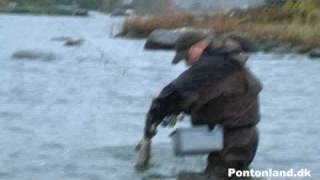 preview picture of video 'Huge trout and pikefishing from pontoon boat in Sweeden'