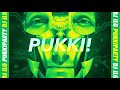 DJ ILG - PukkiParty (feat Mikko Innanen)