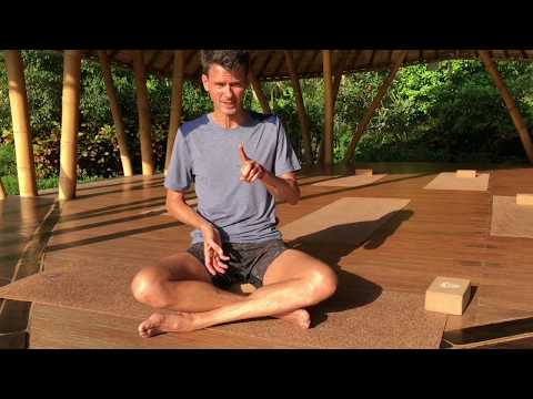 Yoga Tips | Your Pelvic Floor (Mula Bandha) in 12 Minutes | Adventure Yoga with Stephen Ewashkiw