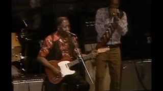 Muddy Waters ~ Live At Mr. Kelly's (Part 3 Electric Harmonica Chicago Blue 1971)