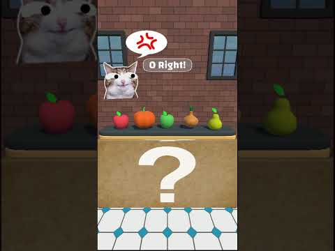 OrderGuessingPuzzle