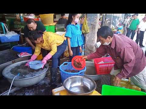 Big Lobsters, King Crabs And Seafood At Central Market - A Walk Around In Cambodian Market