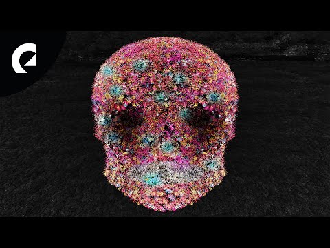 shamgang - más popular (Royalty Free Music)