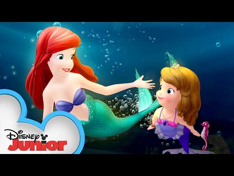 Sofia Meets Ariel! 🐟| Sofia the First | @disneyjr