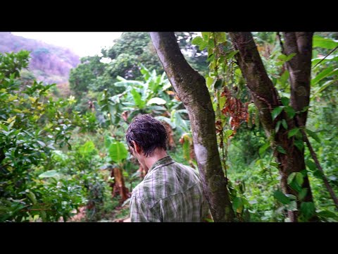 Rare Tropical Fruit Collector HAS IT ALL: Trekking...