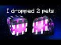 Slaying 200 Dragons in SkyBlock