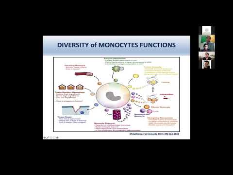 HCA Meeting Asia 2020: Selected 3a - Monocyte subtypes and diversity