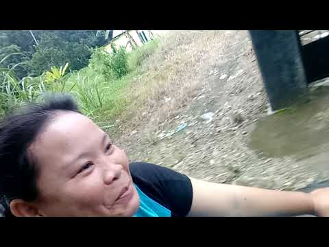 Ayh dan bunda wilvid