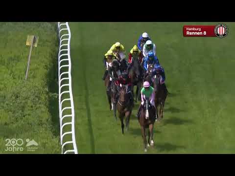 Steher-Auktionsrennen - Auktionsrennen