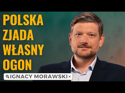 Zostaniemy montownią Europy? Oto co grozi polskiej gospodarce || Ignacy  Morawski #24