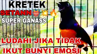 Download lagu KRETEKAN Ganas MURAI BATU||Suara Terapi MURAI BATU cepat GACOR FIGHTER BONGKAR ISIAN Mewah mp3