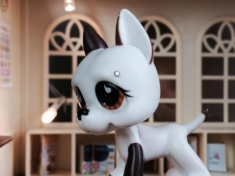 Littlest Pet Shop: Slovo (Film)