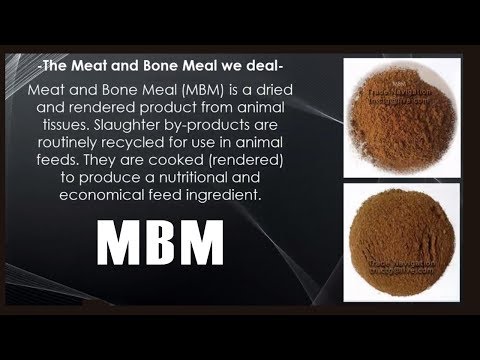 Animal feed mbm meat and bone meal